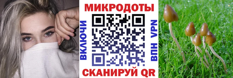 Галлюциногенные грибы MAGIC MUSHROOMS Октябрьск