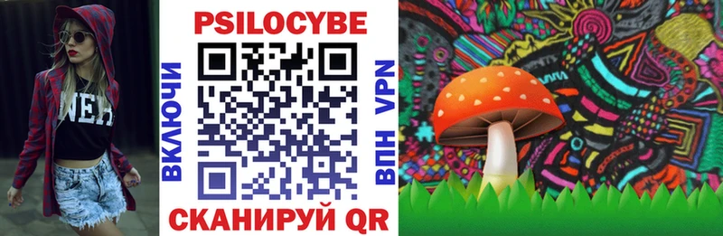 Псилоцибиновые грибы Psilocybine cubensis Октябрьск
